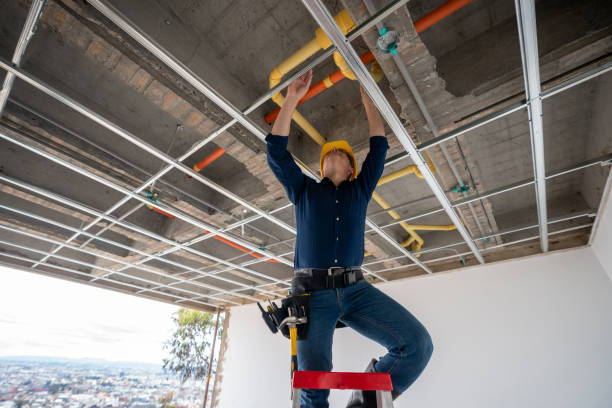 Best Plumbing Installation Services  in Edina, MO