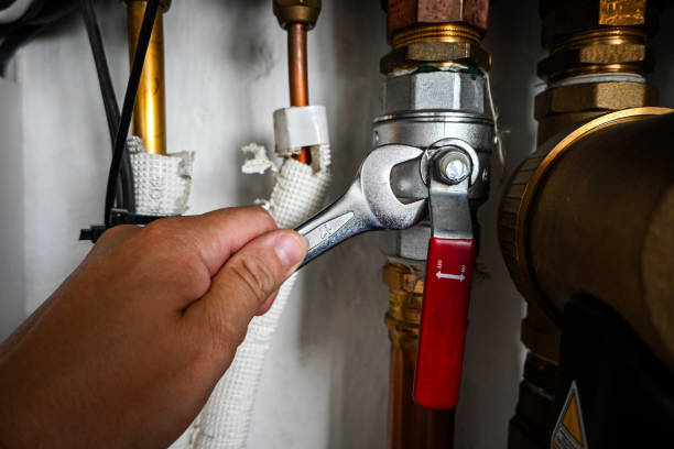 Best Plumbing Services Near Me  in Edina, MO
